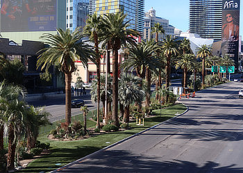 Parking on the Strip. Las Vegas, Nevada.